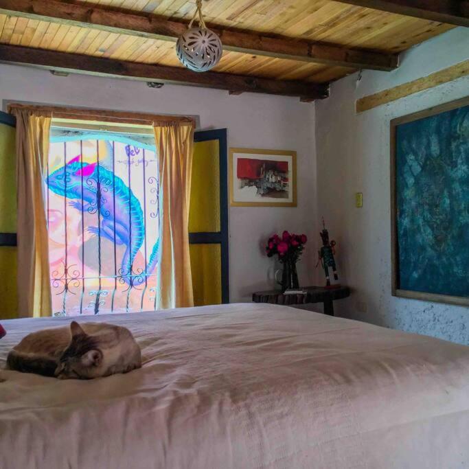 Casa Cerrillo Apartment San Cristóbal de Las Casas Екстериор снимка